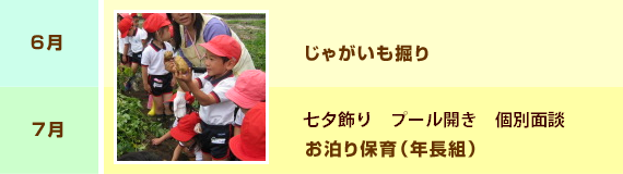 6月：保育参観・引渡し訓練　じゃがいも掘り　7月：七夕集会　プール開き　個人面談　納涼よいこの集い（夏祭り）　お泊り保育（年長組）